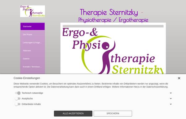 Vorschau von www.therapie-sternitzky.de, Praxis für Ergotherapie - Regine Sternitzky