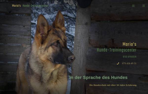 Vorschau von www.hundetrainer.ch, Mario's Hunde-Trainings-Center