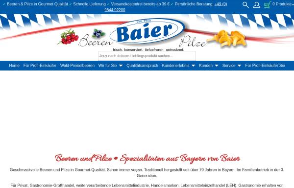 Vorschau von baier-online.com, Georg Baier GmbH