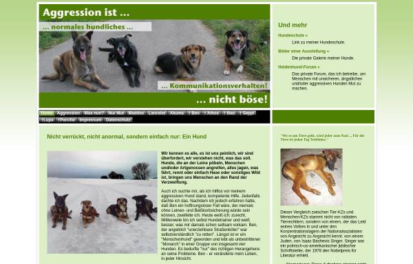 Vorschau von www.aggressionshund.de, Aggressive Hunde - verstehen und alternatives Verhalten formen