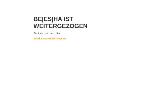 Vorschau von www.beesha.de, Birgit Schmidt-Hurtienne