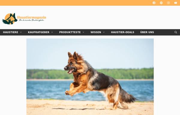 Vorschau von www.nothilfe-weisse-schaeferhunde.de, Nothilfe für Weiße Schäferhunde und Samojeden