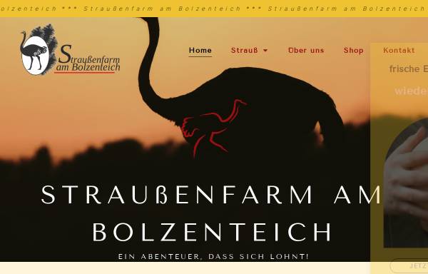 Vorschau von www.straussenfarm-bolzenteich.de, Straußenfarm am Bolzenteich