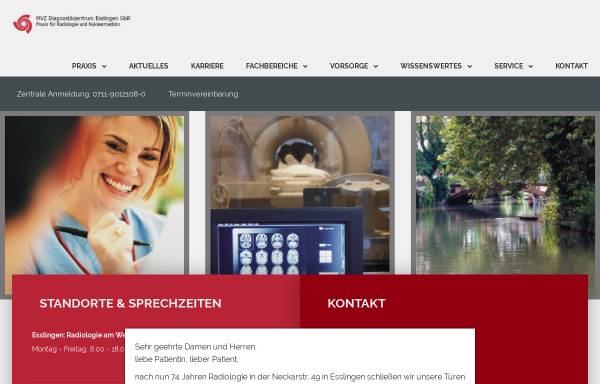 Vorschau von www.dzes.de, Diagnostikzentrum Esslingen