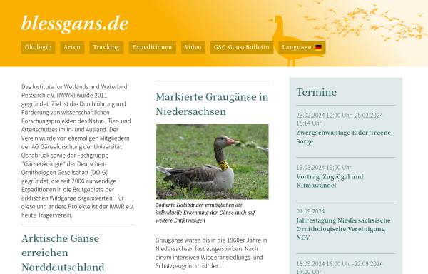 Vorschau von www.zwerggans.de, Aktion Zwerggans e.V. - Artenschutzprojekt zur Rettung der Zwerggans