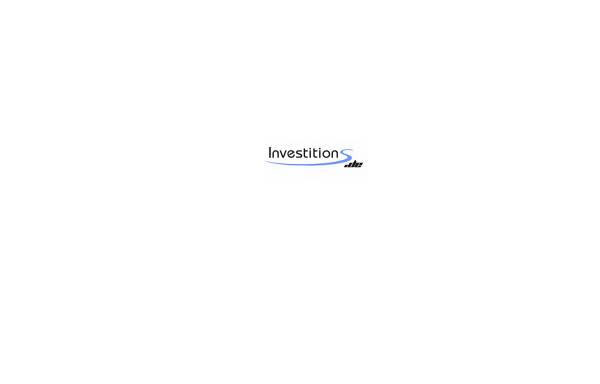 Vorschau von www.investitions.de, Christos Foutsitzidis Auslands-Investitionen