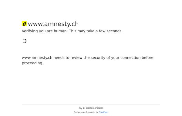 Amnesty International Schweizer Sektion
