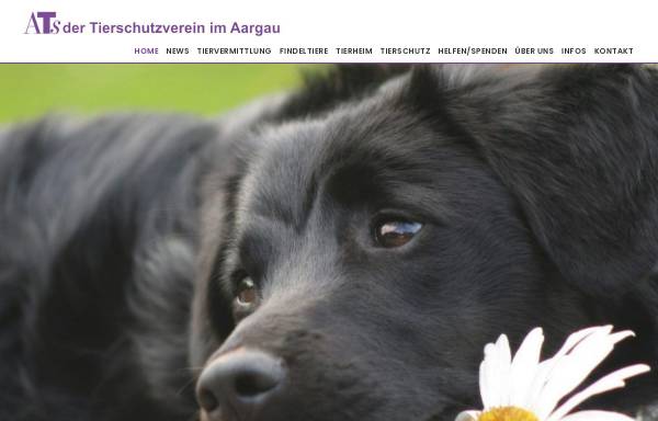 Vorschau von www.tierschutz-aargau.ch, Aargauischer Tierschutzverein ATs
