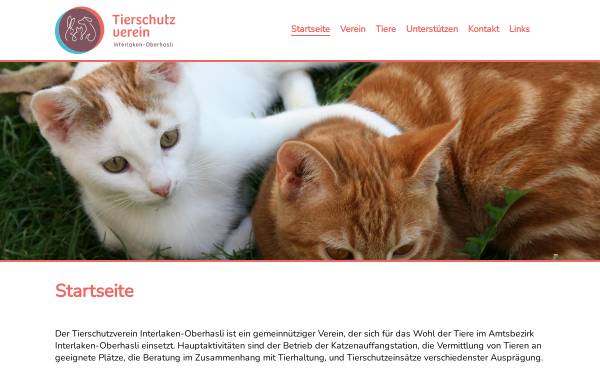 Vorschau von www.tierschutz-interlaken.ch, Tierschutzverein Interlaken
