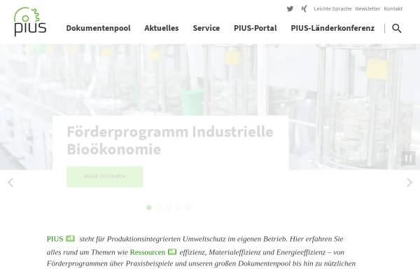 Vorschau von www.pius-info.de, Produktionsintegrierter Umweltschutz (PIUS)