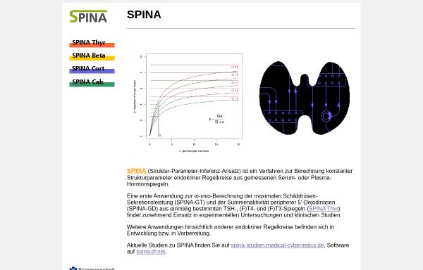 Vorschau von spina.medizinische-kybernetik.de, SPINA: Strukturparameter-Inferenz-Ansatz