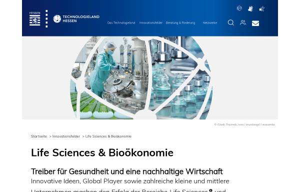 Vorschau von www.hessen-biotech.de, Hessen-Biotech