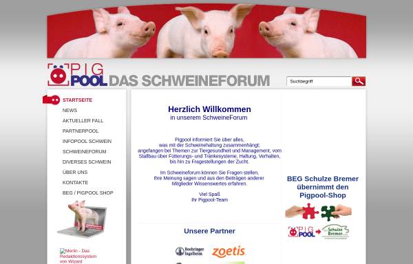 Vorschau von www.pigpool.de, Pigpool