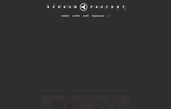 Schaub-Factory - Musikproduktion