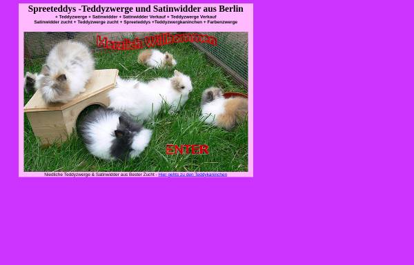 Vorschau von www.teddyzwerge-berlin.de, Teddyzwerge aus Berlin