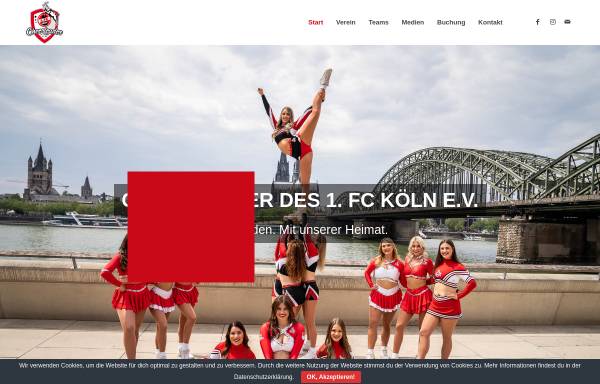 Vorschau von fc-cheerleader.de, Twisters