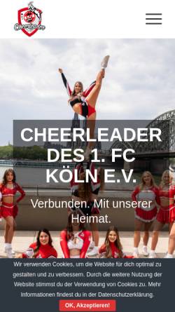 Vorschau der mobilen Webseite fc-cheerleader.de, Twisters