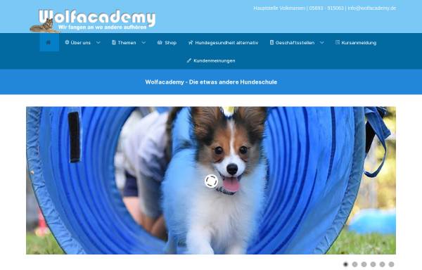 Wolf Academy