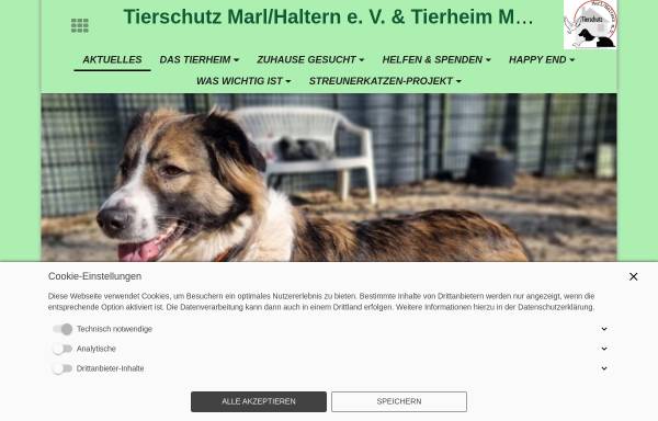 Vorschau von www.tierheim-marl.de, Tierschutzverein Marl/Haltern e.V.