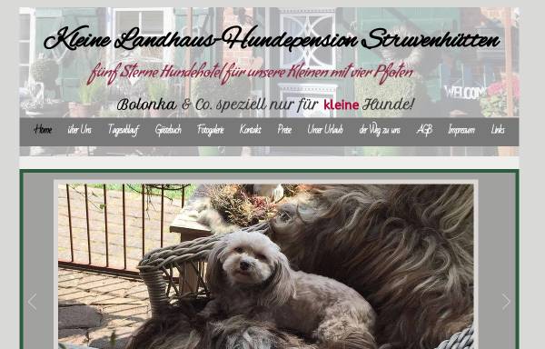 Vorschau von www.hunde-pension-sh.de, Hunde Hotel Struvenhütten