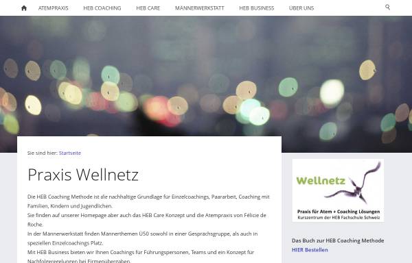 Vorschau von www.wellnetz.ch, Félicie de Roche - WellNetz
