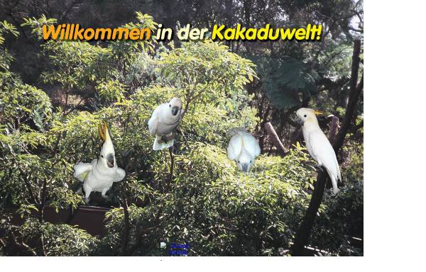 Vorschau von www.kakaduwelt.de, Kakaduwelt