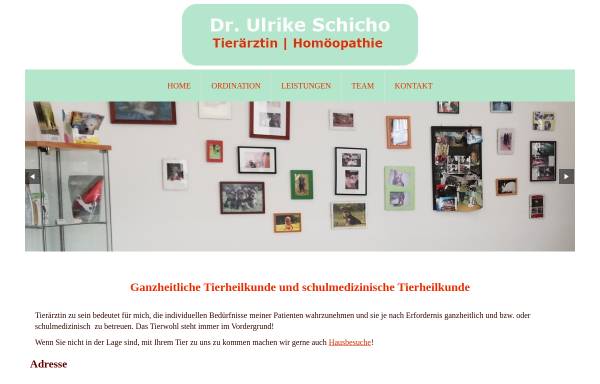 Vorschau von www.ulrikeschicho.at, Dr. Ulrike Schicho