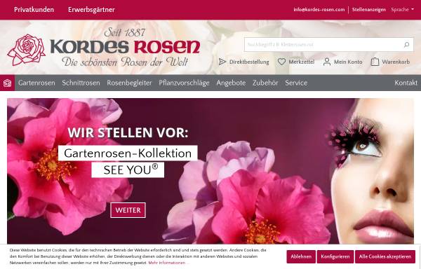 Rosen-Roses