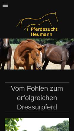 Vorschau der mobilen Webseite www.pferdezucht-heumann.de, Pferdezucht Heumann