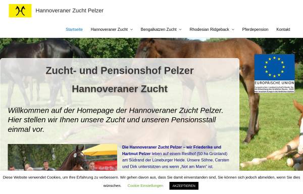 Vorschau von www.zuchthof-pelzer.de, Zucht- und Pensionshof Pelzer