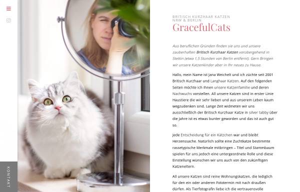 Vorschau von www.britisch-kurzhaar-katze.de, Graceful Cats