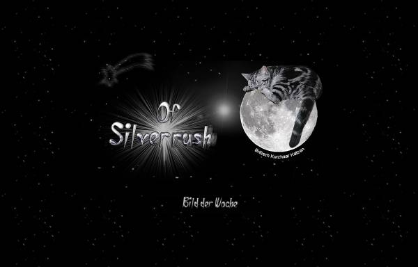 Of Silverglitter