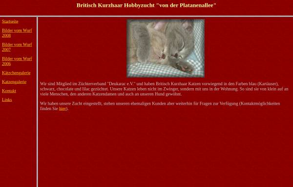 Vorschau von katzen.rolandscholz.de, Von der Platanenallee