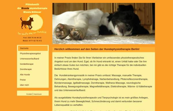 Vorschau von www.pfoetchenfit.de, Pfötchenfit - die Hundephysiotherapie