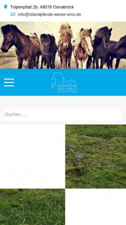 Vorschau der mobilen Webseite islandpferde-weser-ems.de, Islandpferdereiter Osnabrücker Land e.V.