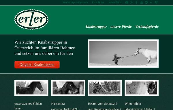 Vorschau von www.knabstrupper.name, Knabstrupper vom Erlerhof