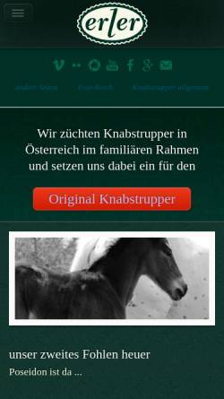 Vorschau der mobilen Webseite www.knabstrupper.name, Knabstrupper vom Erlerhof
