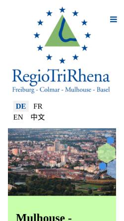Vorschau der mobilen Webseite www.regiogesellschaft.de, Freiburger Regio-Gesellschaft