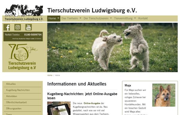 Vorschau von www.tierheim-lb.de, Tierheim und Tierschutzverein Ludwigsburg