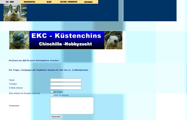 Vorschau von www.xn--kstenchins-9db.de, Küstenchins