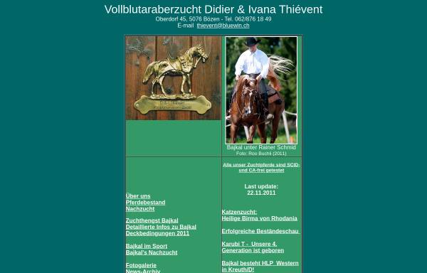 Vorschau von www.arabianhorses.ch, Vollblutaraberzucht Didier & Ivana Thiévent