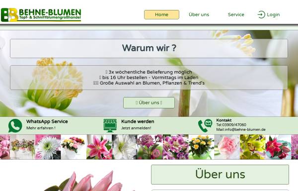 Vorschau von www.behne-blumen.de, Behne-Blumen
