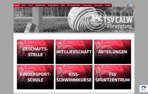Vorschau von www.tsvcalw.de, TSV Calw