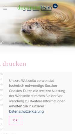 Vorschau der mobilen Webseite www.documenteam.de, documenteam GmbH & Co. KG