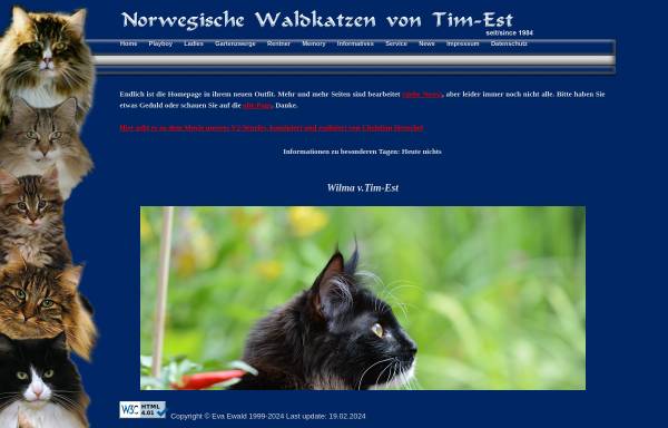 Vorschau von www.vontimest.de, Norwegische Waldkatzen, von Eva Ewald
