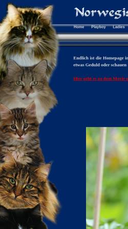 Vorschau der mobilen Webseite www.vontimest.de, Norwegische Waldkatzen, von Eva Ewald