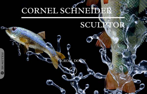 Vorschau von www.cornelschneider.ch, Schneider, Cornel