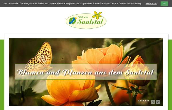 Vorschau von www.blumen-saaletal.de, Blumen Saaletal