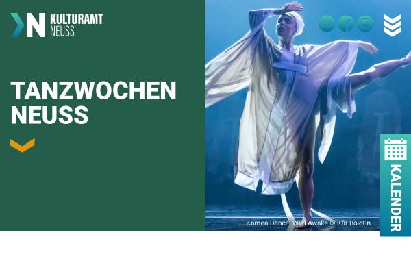 Vorschau von www.tanzwochen.de, Internationale Tanzwochen Neuss
