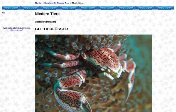 Vorschau von www.starfish.ch, Gliederfüßer wie Krebse, Garnelen, Langusten und Krabben